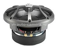 Сабвуфер DLS Iridium 10